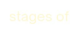 stages of